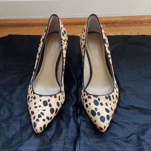 Ann Taylor animal print pointed toe - size 7
